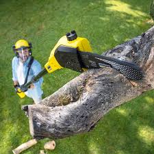 Best Artificial Turf Installation  in Osceola, WI